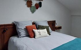 Le Fief Guibert Chambres D'Hotes - Gites - Elevage De Lamas En Vendee